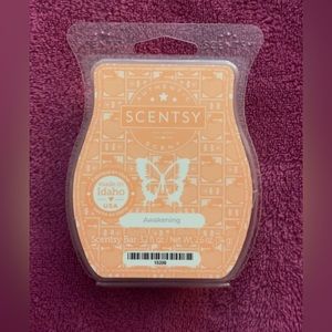 Scentsy Awakening Wax Bar(BBMB,Bring Back My Bar January 2024).